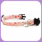 Kitten-071